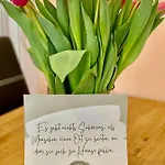 Stilvolles «coco» Am Bodensee Apartman Hörbranz